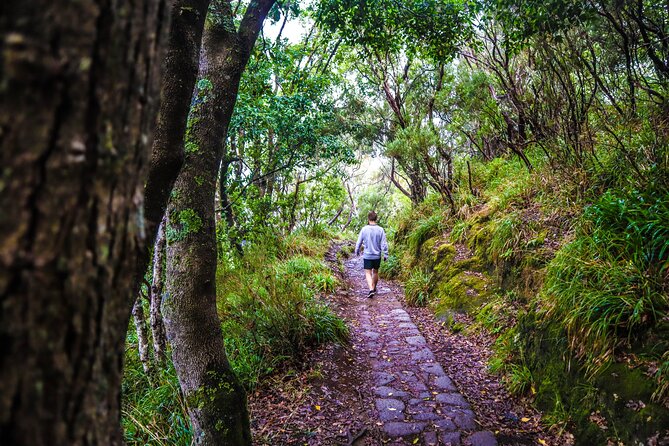 Private Sunrise Pico do Areeiro Half Day with easy levada walk - Miradouro do Guindaste Glass Skywalk: Short Time, Big Moment