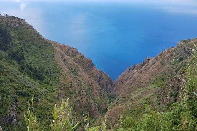 Private Tour Half-day Southwest Madeira - Quinta Pedagogica dos Prazeres: farm animals and jelly tasting