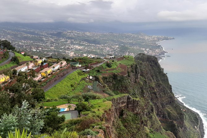 Private Tour Halfday South Madeira - Key things you’ll notice on this South Madeira private tour