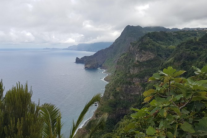 Private Tour The Biosphere Santana - Pickup from anywhere on Madeira, then north to Santana