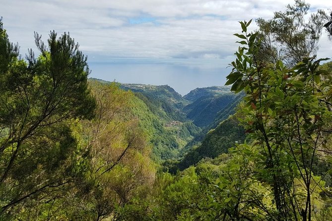 Private Tour The Biosphere Santana - The value of a private guide in a half-day format