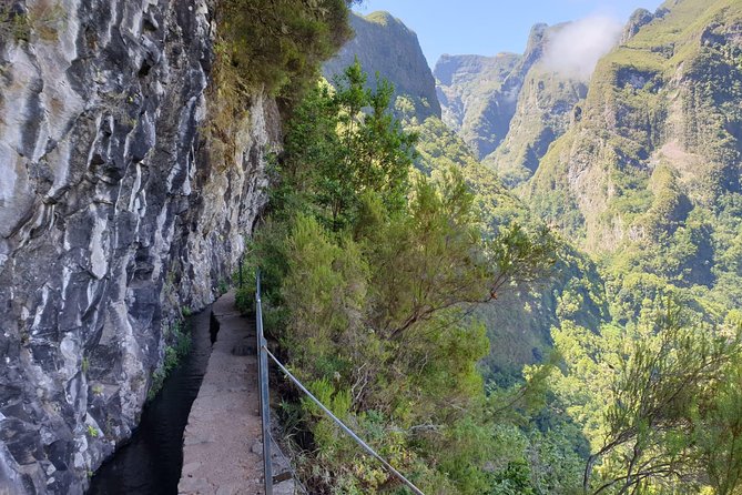 Queimadas-Caldeirão Verde - A 13 km Laurissilva walk with real living nature