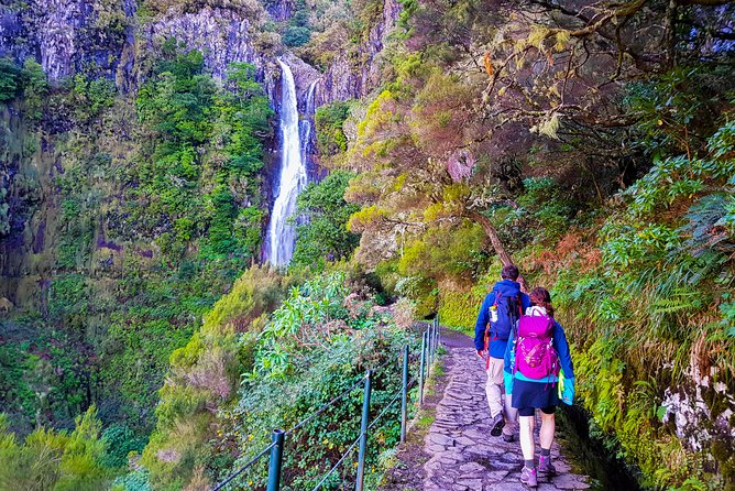 Rabaçal 25 Fontes Levada Walk in Small Groups - Early start on Madeira: why 8:30 matters