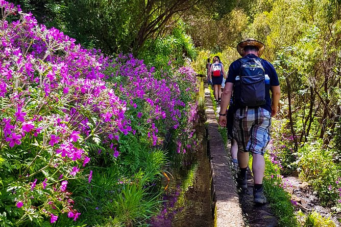 Rabaçal 25 Fontes Levada Walk in Small Groups - Guide quality and safety: what I’d bet on