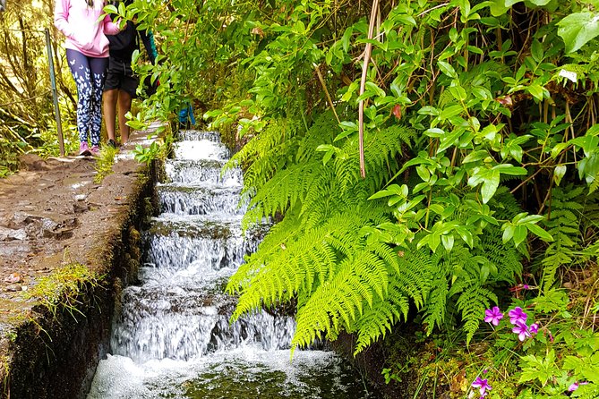 Rabaçal 25 Fontes Levada Walk in Small Groups - Price and logistics: what about $54 covers