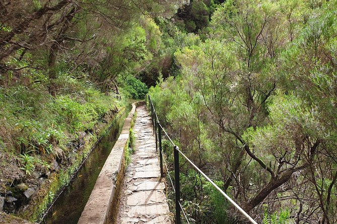 Rabaçal / 25 Fonts - Getting there from Funchal: free shuttle, then walking the real Madeira