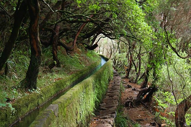 Rabacal - 25 Fountains - Rabacal and 25 Fountains: Why This Levada Walk Feels Like Madeira