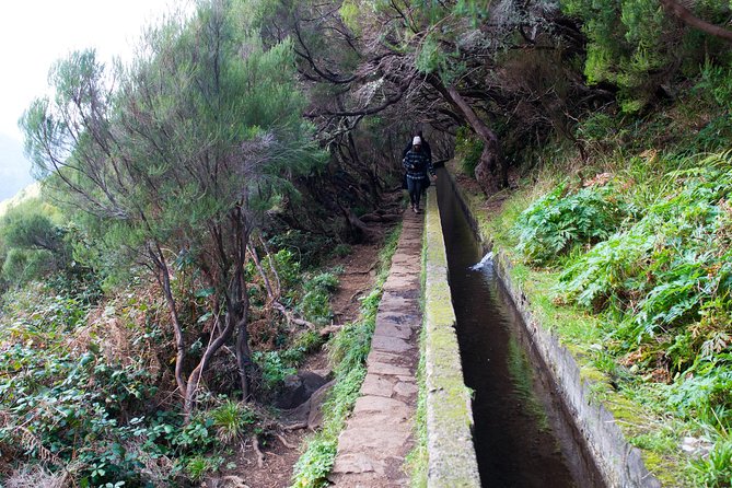 Rabaçal Hiking Tour - Getting to Rabaçal from Funchal: the 9:00 start that saves your day