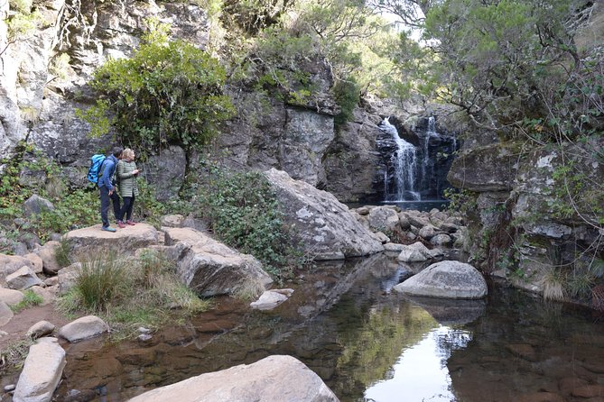 Rabaçal Hiking Tour - Price and value: what $96.13 includes, and what it doesn’t