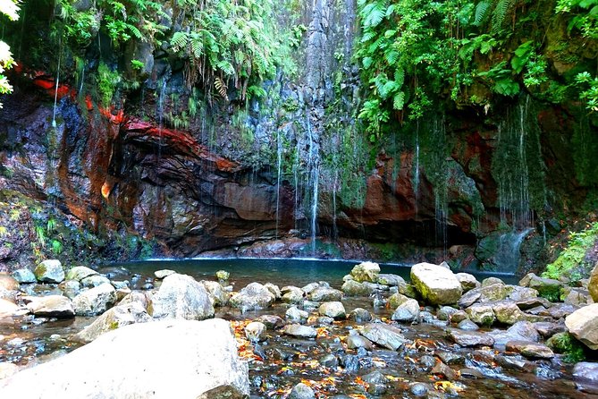Rabaçal - Levada das 25 Fontes - What the 4-hour walk feels like: pace, group size, and weather planning