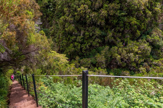 Rabaçal - Levada das 25 Fontes - Who should book this hike, and who should skip it