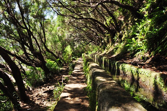 Rabaçal - Levada das 25 Fontes - Should you book Rabaçal – Levada das 25 Fontes and Risco?