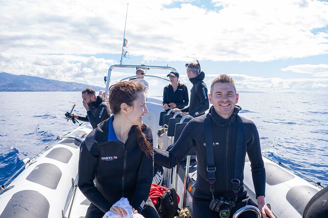 Responsible Whales and/or Dolphins Watching Tour - Guides, learning, and the small details that make it better