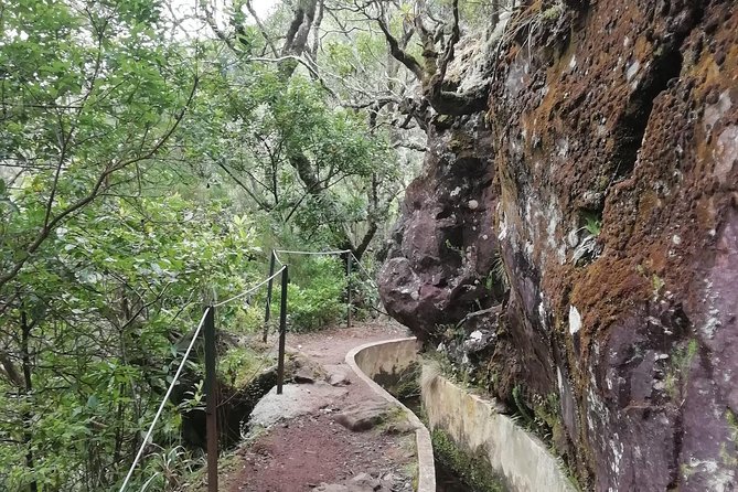 Ribeiro Frio - Portela - 11 km of Levada-Style Walking and Nature Spotting