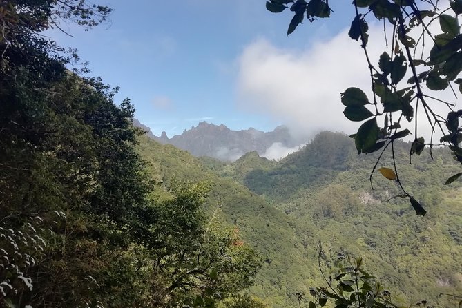 Ribeiro Frio - Portela - Guides Make or Break a Nature Walk