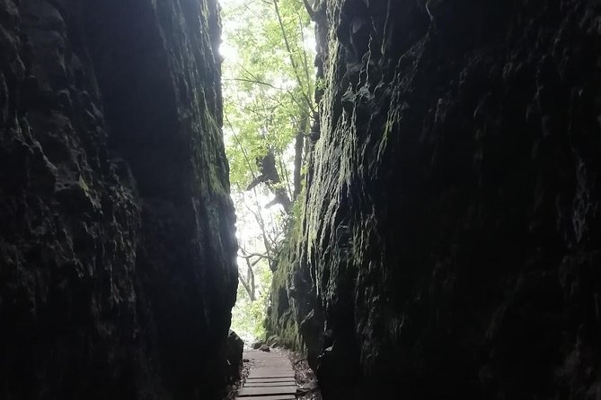 Ribeiro Frio - Portela - Price and Value: Is $54.01 Worth It?