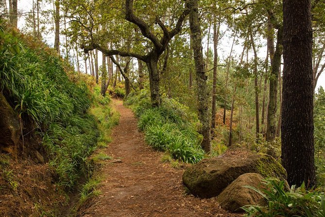 SANTANA Combo Expedition (Jeep & Levada Walk) - Shared Tour - Getting to the start line: Funchal pickup timing that actually helps