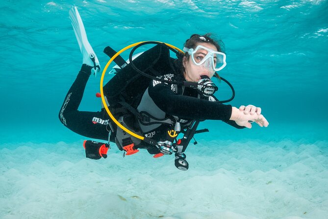 Scuba Diving Experience in Madeira - Why Funchal Works So Well for a First Underwater Course