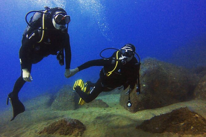 Scuba Diving Experience in Madeira - Timing, Weather, and the Real-World Plan B