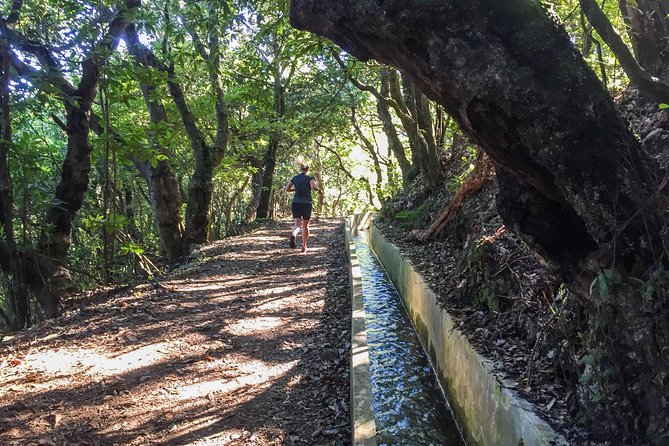 Sea 2 Mountain Running Tour (Moderate-Hard) - Who Should Book This Run (and Who Might Want Another Option)