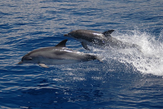 Seaborn Catamaran trips - Price value: what $42.24 buys you on the water