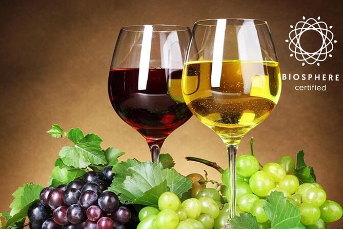 Signature Wine Tastings, Skywalk, Nature 4x4 Open Roof Expedition - Why This Madeira Wine and 4x4 Day Works