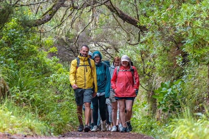 Skywalk 4x4 Experience and Rabacal 25 Fountains Levada Walk - The 25 Fontes Levada Walk at Rabaçal: the waterfall payoff