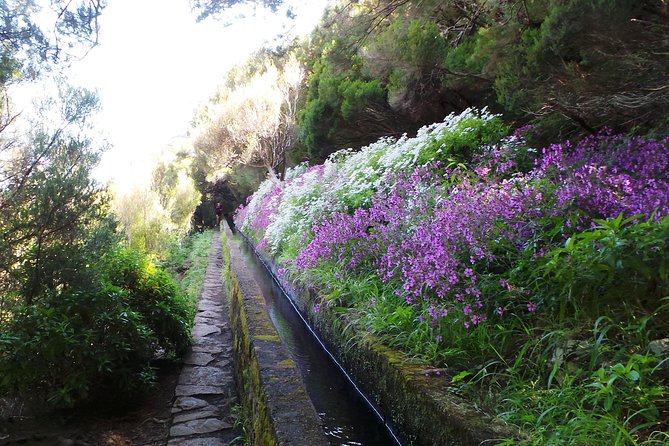 Skywalk 4x4 Experience and Rabacal 25 Fountains Levada Walk - Timing and pace: how to avoid feeling rushed