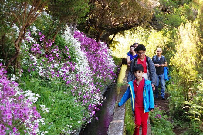 Skywalk 4x4 Experience and Rabacal 25 Fountains Levada Walk - Price and value: what $41 really buys you