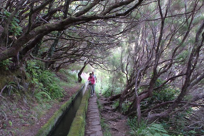 Skywalk 4x4 Experience and Rabacal 25 Fountains Levada Walk - Who should book, and who should reconsider