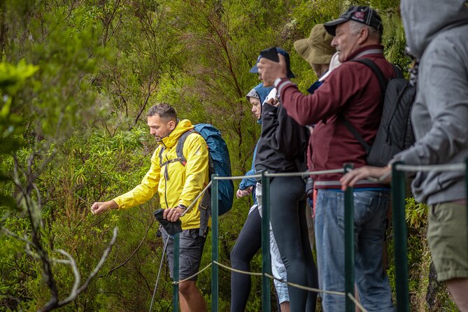 Skywalk 4x4 Experience and Rabacal 25 Fountains Levada Walk - The 4x4 Jeep portion: off-road fun with wildlife chances