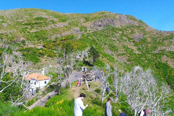 Skywalk, Amazing Views & Wine Tasting in Open Roof 4x4 Adventure - The Driving: Why the Open-Roof 4x4 Matters (and Who It’s For)