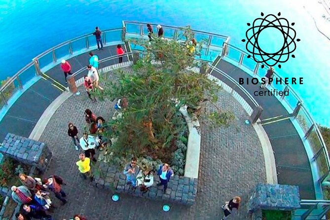 Skywalk, Amazing Views & Wine Tasting in Open Roof 4x4 Adventure - Getting Started in Funchal: Pickup Times That Actually Help