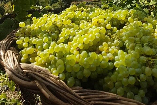 Skywalk with Wines Tasting and Vineyards Half day 4x4 Adventure - The 4x4 Drive: Bumpy, Scenic, and Part of the Fun