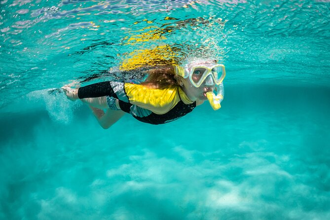 Snorkelling Trip at Ponta de São Lourenço Protected Area - Key highlights that matter before you go