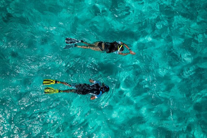 Snorkelling Trip at Ponta de São Lourenço Protected Area - Timing: what the 2:30 pm start really means for your afternoon