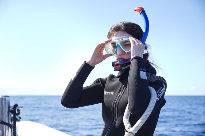 Snorkelling Trip at Ponta de São Lourenço Protected Area - In-water reality check: wildlife sightings are great, but vary