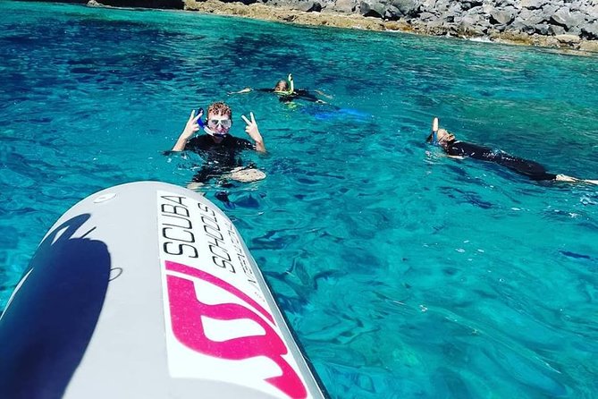Snorkelling Trip at Ponta de São Lourenço Protected Area - Who this trip suits best (and who should reconsider)