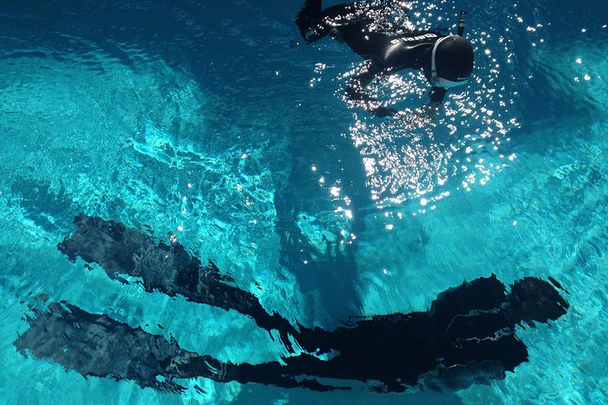 Snorkelling Trip at Ponta de São Lourenço Protected Area - Pack light: gear hire is part of the value