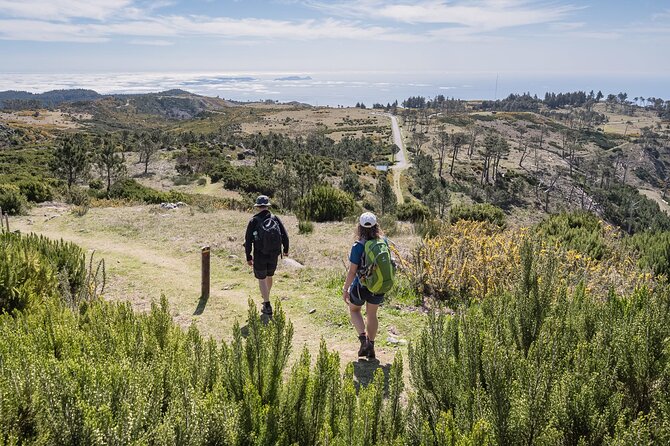 Stairway to Heaven: Pico do Areeiro in Madeira Island - Key highlights you’ll actually feel