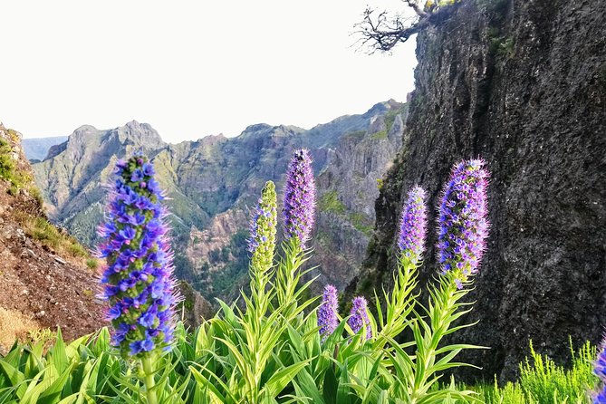 Sunrise Guided Hike PR1 Pico do Areeiro Pico Ruivo small group - Pico do Areeiro Start: Getting Your Breath Under Control