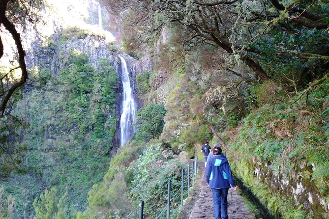 The Fantastic Cascades - Key Points at a Glance
