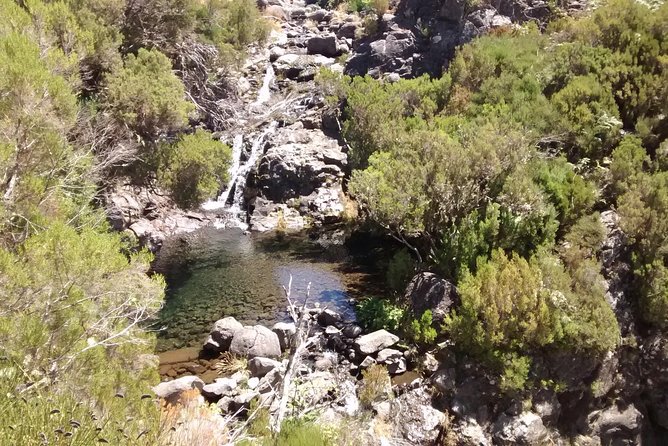 The Fantastic Cascades - Pickup From Funchal: How the Day Starts Smoothly