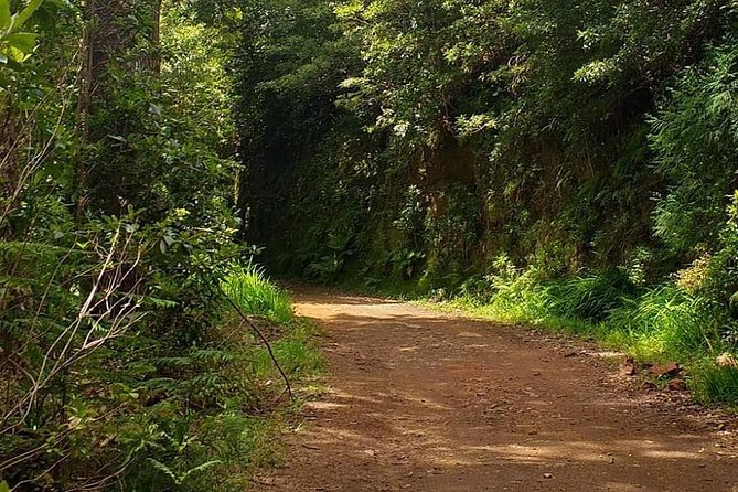 Traditional Sunday Market - Half Day Tour - 4x4 - A 4x4 Sunday run from Funchal that saves you driving
