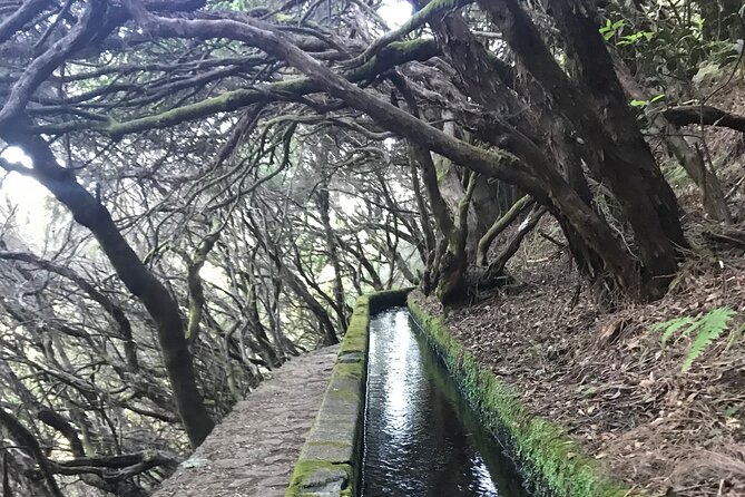 Twenty-Five Fountains Levada walks (private) - The real reason this feels calmer: private levada hiking in Madeira