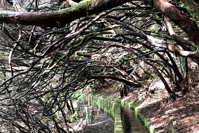 Twenty-Five Fountains Levada walks (private) - Stop 1: 25 Fontes and Cascada da Risco