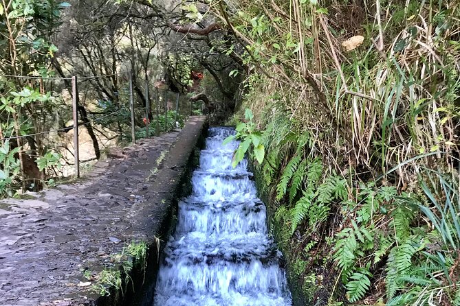Twenty-Five Fountains Levada walks (private) - How to prepare: waterproof shoes and weather awareness