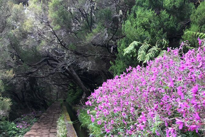Twenty-Five Fountains Levada walks (private) - The guide factor: why private guiding changes everything