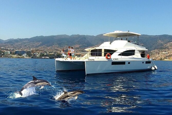 VipDolphins Luxury Whale Watching - Key things I’d circle on your plan