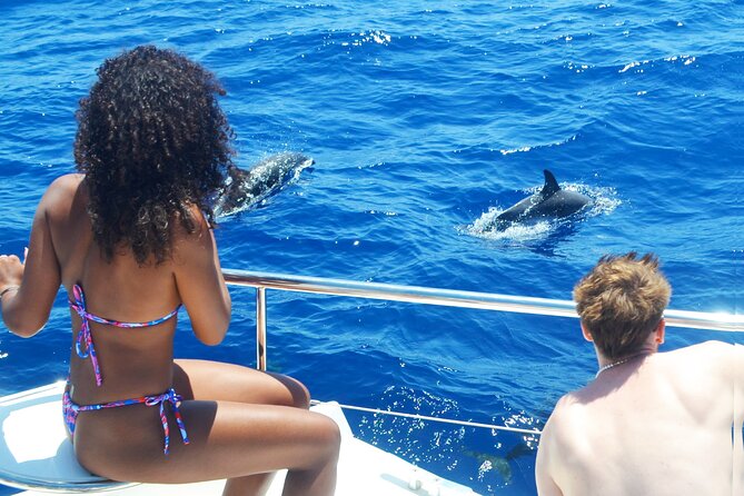 VipDolphins Luxury Whale Watching - Entering The Experience: Funchal marina to catamaran comfort